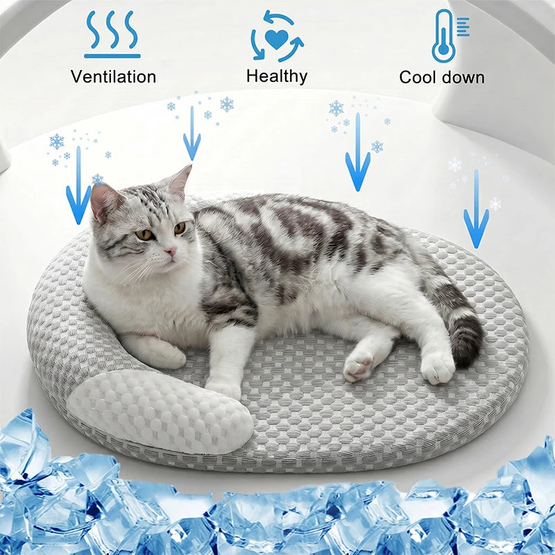 Premium Freshness Mat for Dog & Cat